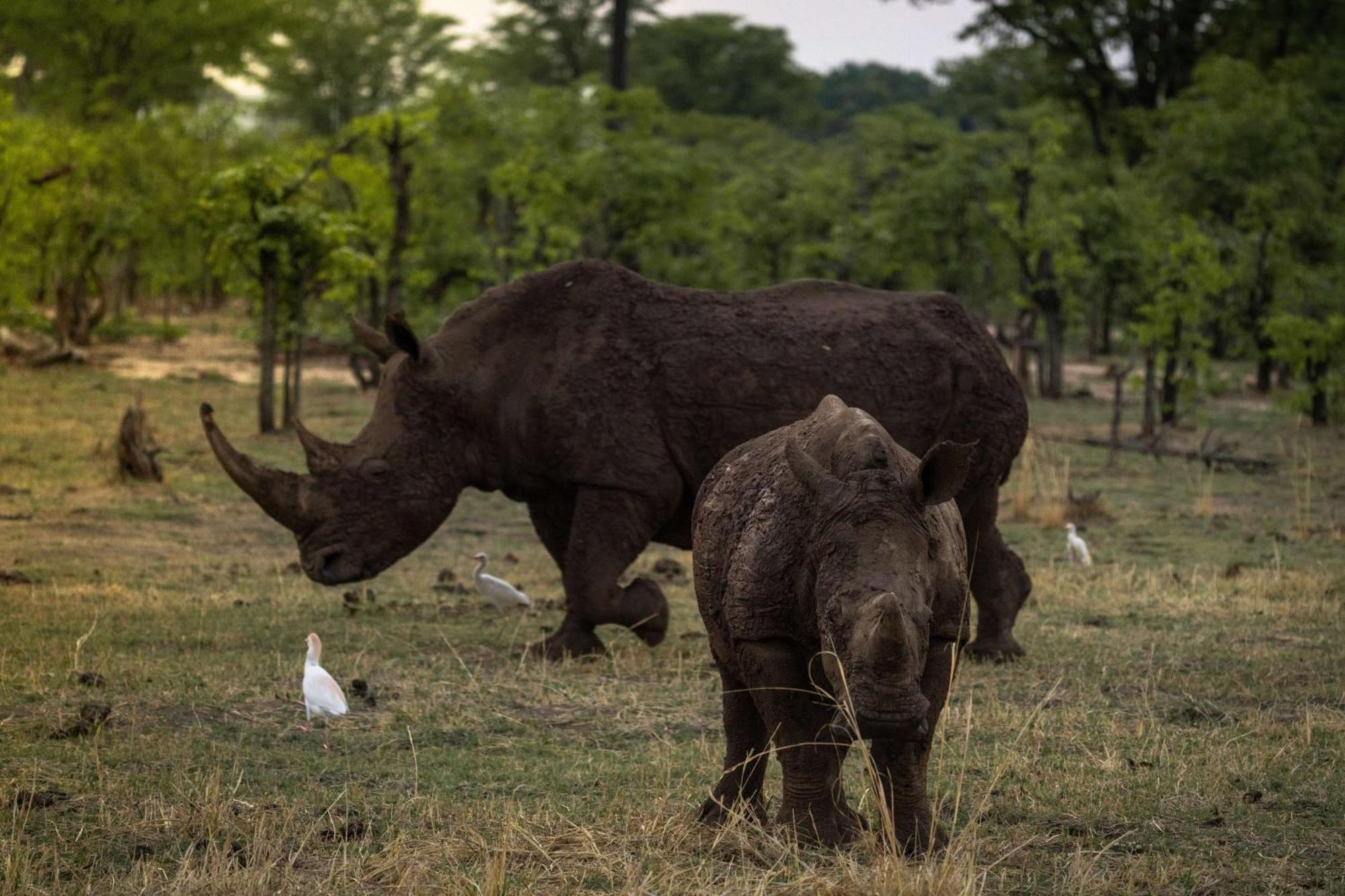 Radisson Blu Mosi-Oa-Tunya Livingstone Resort Eksteriør billede