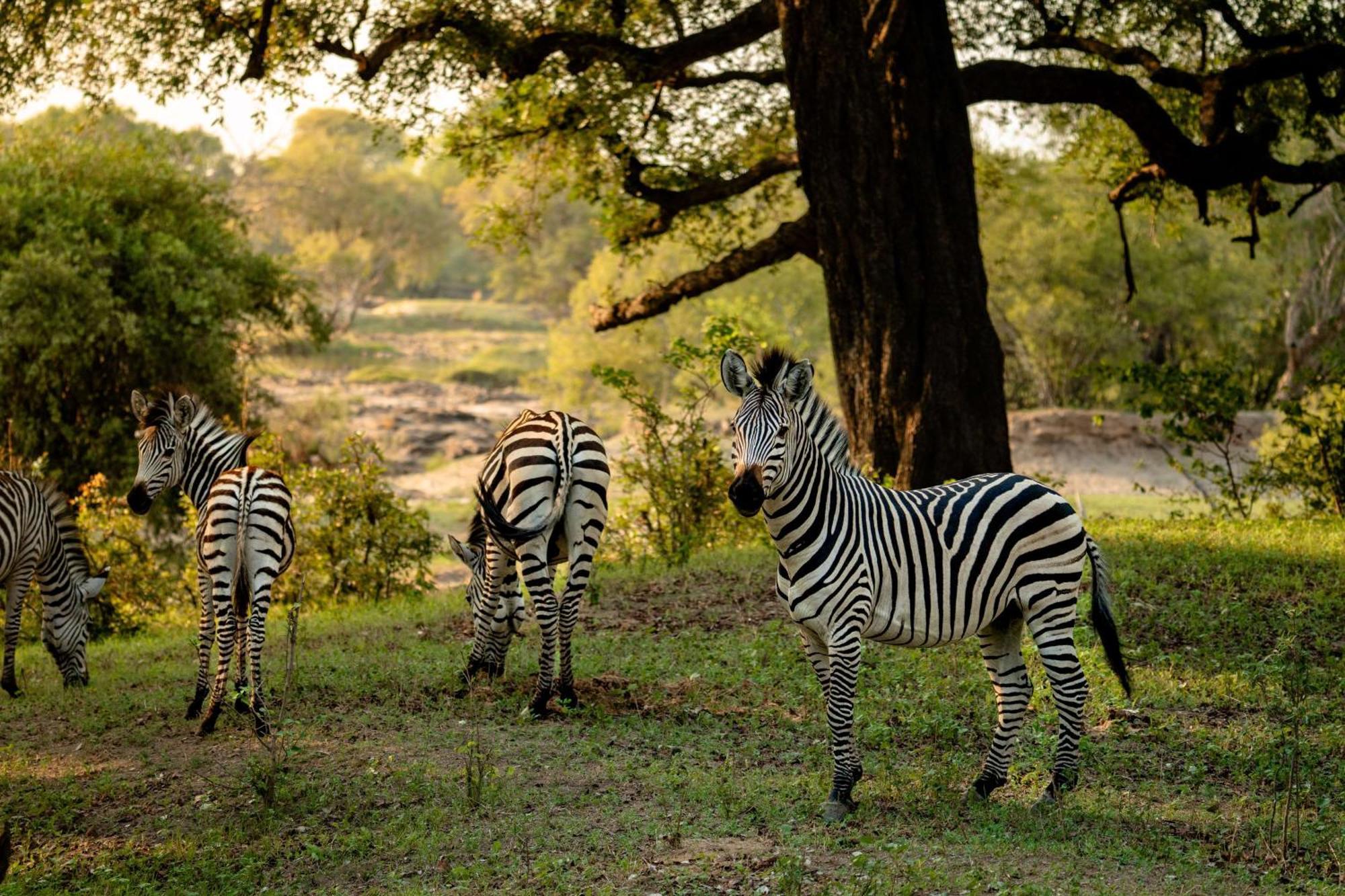 Radisson Blu Mosi-Oa-Tunya Livingstone Resort Eksteriør billede
